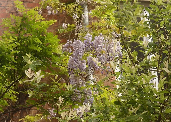 Allegra Nova Bed & Breakfast 4*