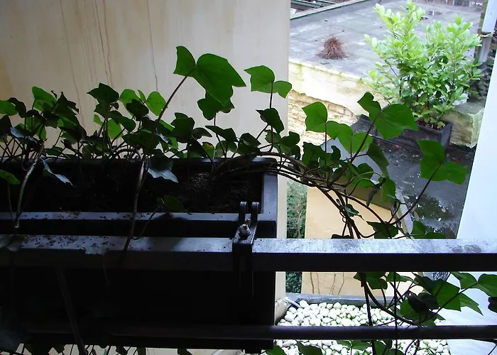 Allegra Nova Bed & Breakfast